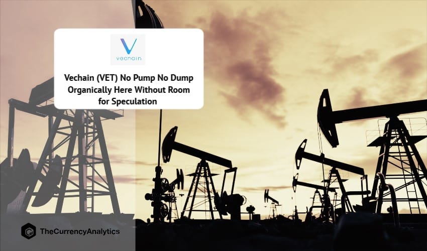 Vechain (VET) No Pump No Dump Organically Here Without Room for Speculation