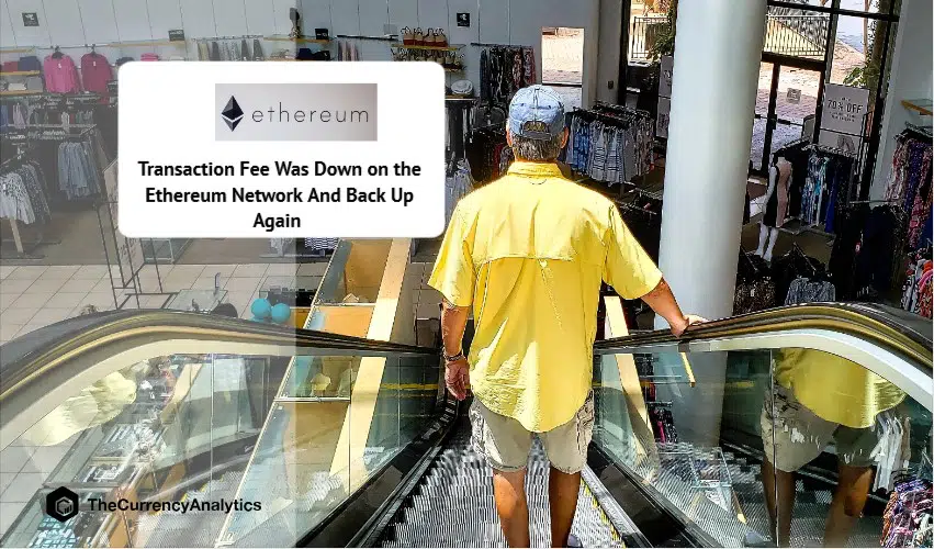 Transaction Fee Was Down on the Ethereum Network And Back Up Again