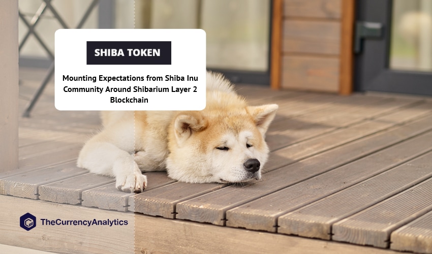 Mounting Expectations from Shiba Inu Community Around Shibarium Layer 2 Blockchain