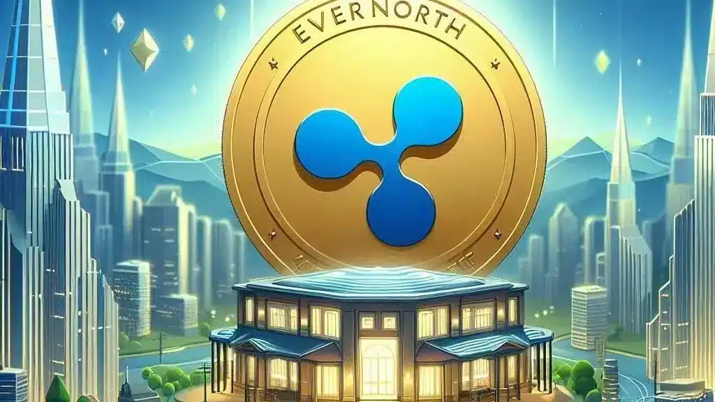 Ripple XRP holdings