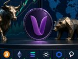 Daily crypto market movers featuring Velvet