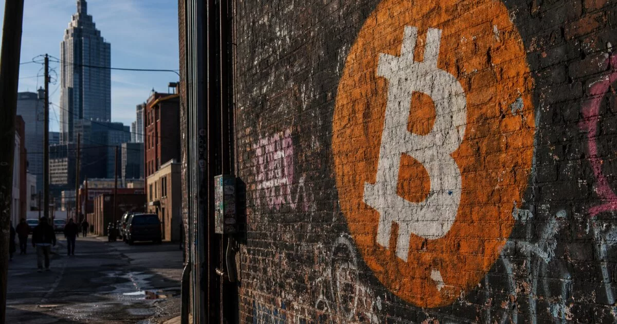 Traditional Finance Advisers Want Stablecoins and Tokenization, Not Bitcoin, Bitwise Says