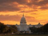 5 Senate Democrats Demand Hearings on Trump's UAE Crypto Ties