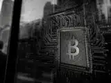 Bitcoin ETFs Pull in $221.7 Million in a Single Day, Biggest Haul Since May