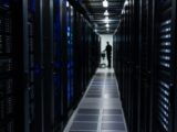 Hyperliquid Holds Near $59.5 as Chainlink, Shiba Inu, and Stellar Flash Mixed Signals