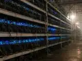Bitcoin Red Team Flags 1,288 Flaws and Turns to Chinese AI After OpenAI Lockout