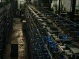 Michael Terpin Warns Bitcoin Could Shed 30% and Hit $43,500