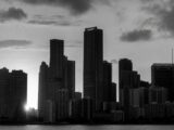 Moneyflip CEO Arrested in Miami Over $750K Crypto Murder-for-Hire Plot