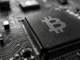 On-Chain Signals Suggest Bitcoin Accumulation During Modest Gains