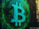 600 Bitcoin From 2010 Wakes Up — $48 Million and Zero Answers