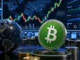 Daily crypto market movers featuring Bitcoin Cash