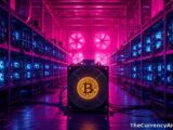 Bitcoin Documentary Shows How Cyprus Bank Freeze Sent Price From $47 to $265