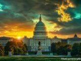 Blockchain Association CEO Summer Mersinger Out by October 16 After Senate Vote Fails