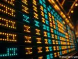 Logan and Jake Paul's Anti Fund Bets on Polymarket, Anduril, and OpenAI