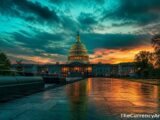 Shiba Inu Burns Just $29 in 24 Hours as Clarity Act Heads to Senate Floor