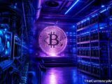 Night surges 20.7 percent as bitcoin dominance hits 58.7 percent